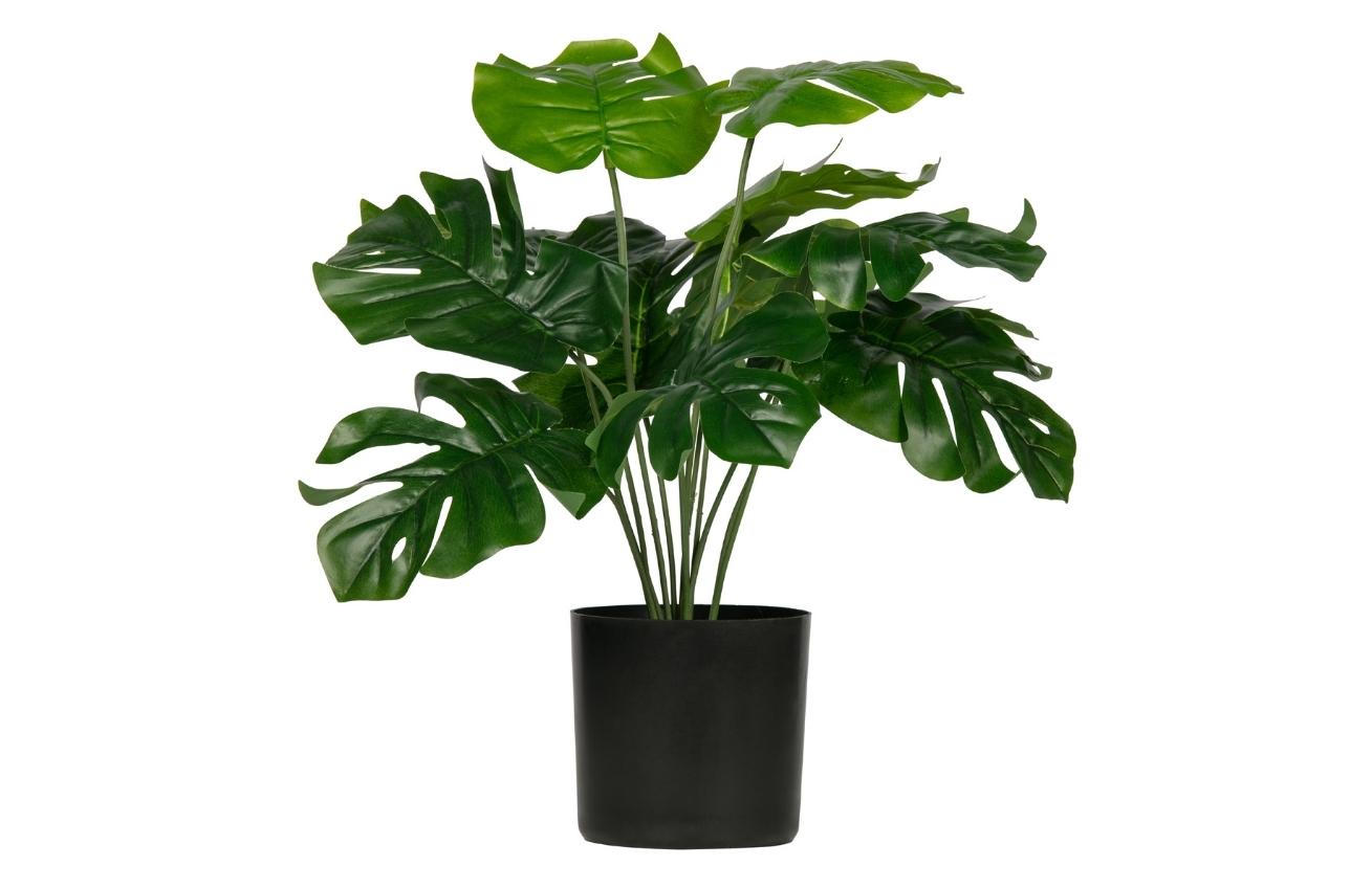 Hoorns Umělá květina Paden Monstera 42 cm Hoorns