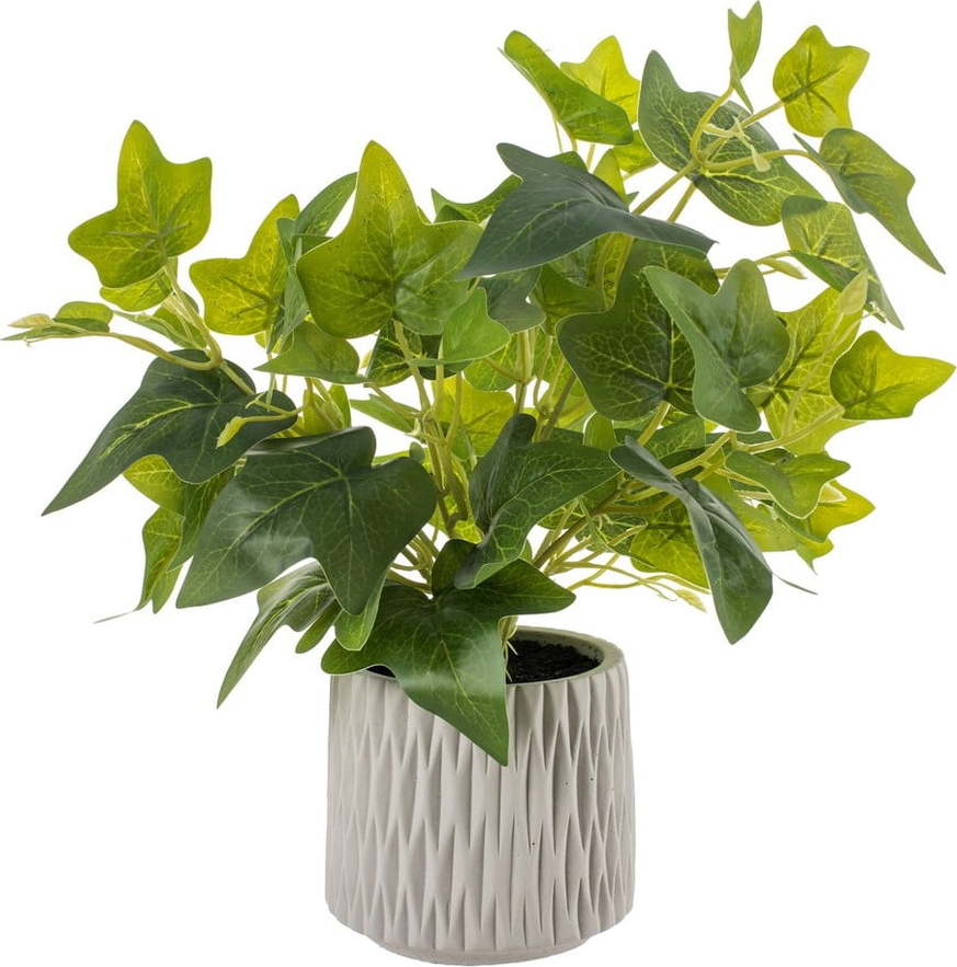 Umělá rostlina (výška 39 cm) Ivy – Ixia Ixia