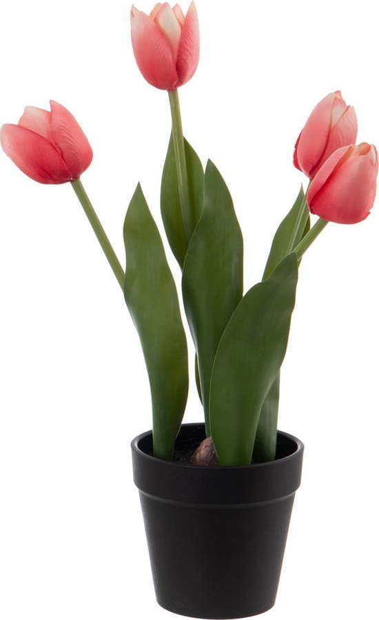 Umělá květina (výška 31 cm) Tulips – Ixia Ixia