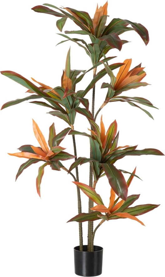 Umělá rostlina (výška 140 cm) Dracena – Ixia Ixia