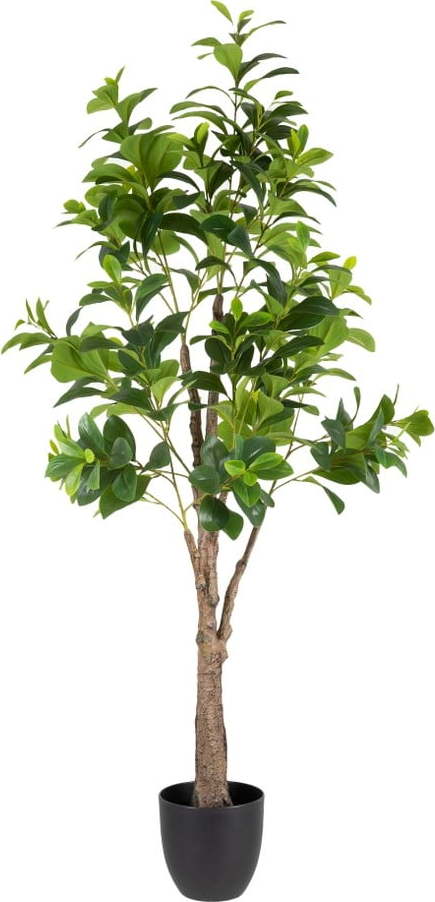 Umělá rostlina (výška 145 cm) Peperomia – Ixia Ixia