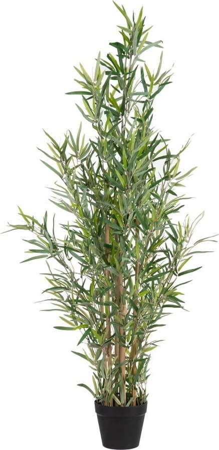 Umělý bambus (výška 120 cm) Bamboo – Ixia Ixia