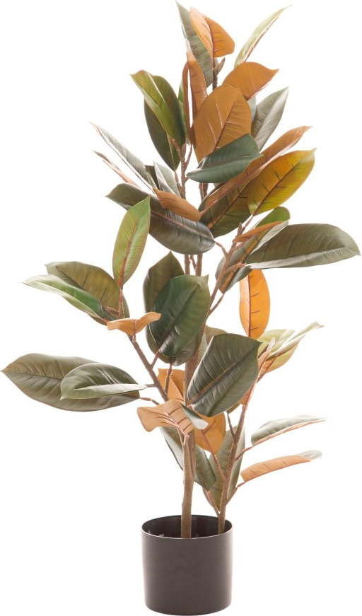 Umělý fíkus (výška 90 cm) Ficus – Ixia Ixia